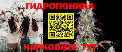 дмт Пыть-Ях